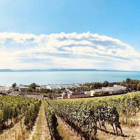 Charmant Appartement De Vacances Alta Ripa Hauterive  外观 照片