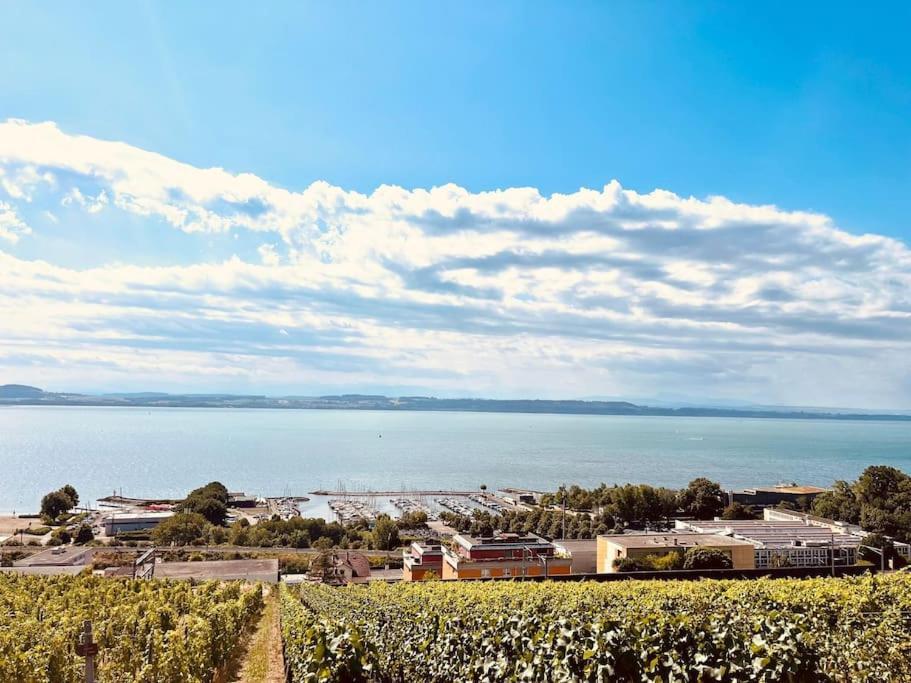 Charmant Appartement De Vacances Alta Ripa Hauterive  外观 照片