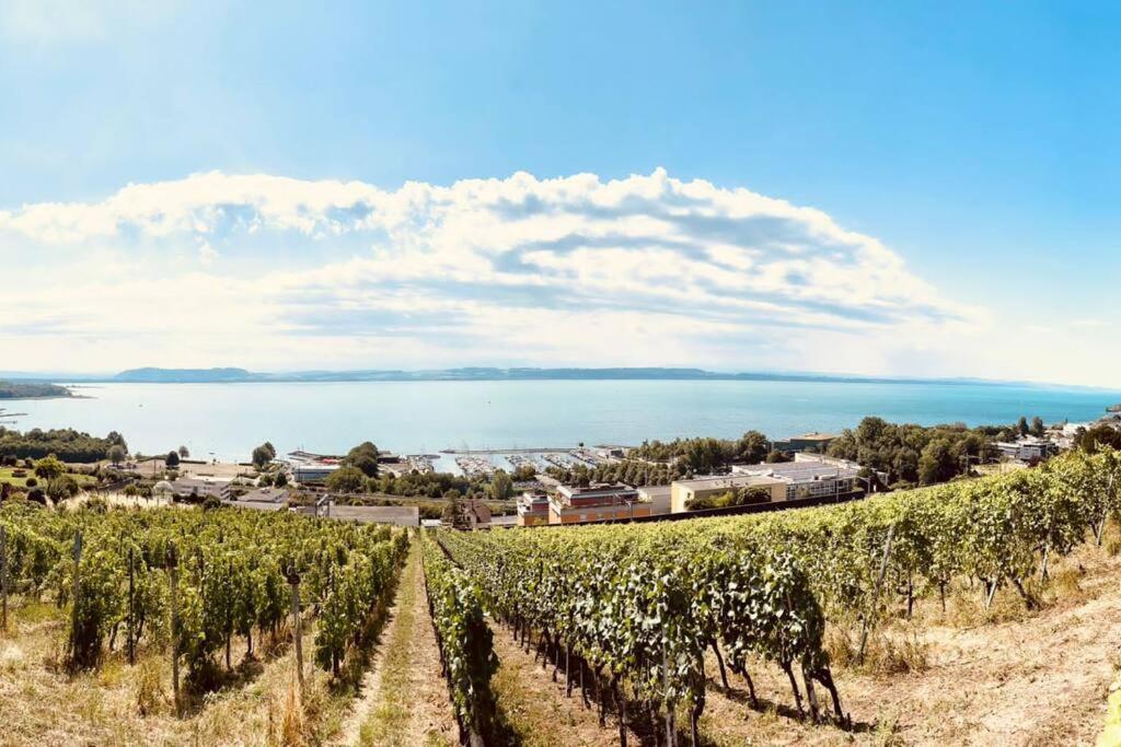 Charmant Appartement De Vacances Alta Ripa Hauterive  外观 照片