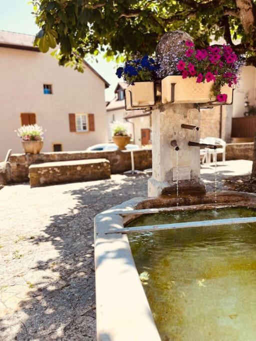 Charmant Appartement De Vacances Alta Ripa Hauterive  外观 照片