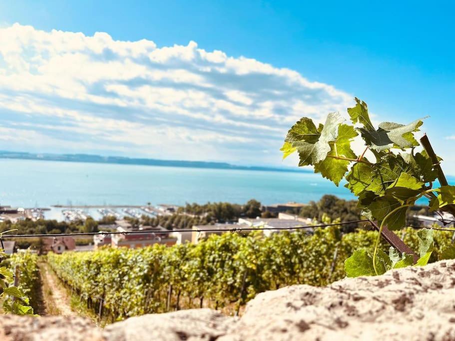 Charmant Appartement De Vacances Alta Ripa Hauterive  外观 照片