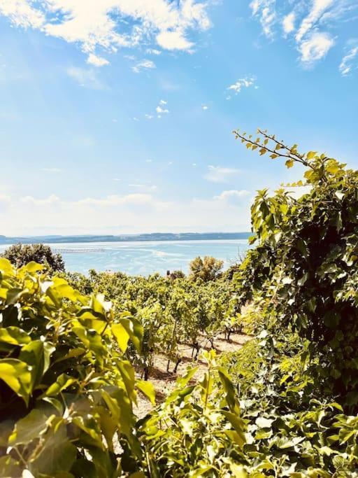 Charmant Appartement De Vacances Alta Ripa Hauterive  外观 照片